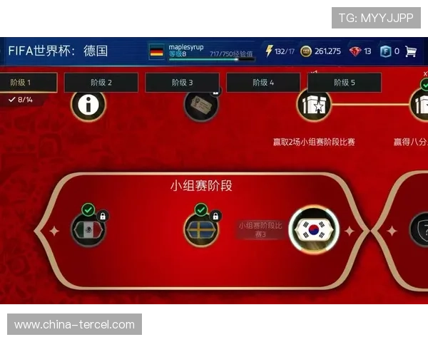 FIFA拟增世界杯奖金解压力